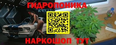 стаф Краснознаменск