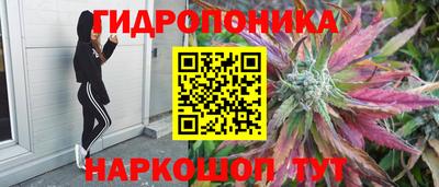 стаф Краснознаменск