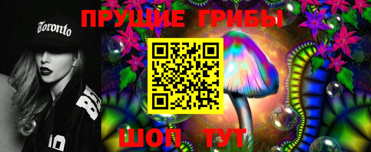 Галлюциногенные грибы GOLDEN TEACHER  Вход с VPN  Котовск 